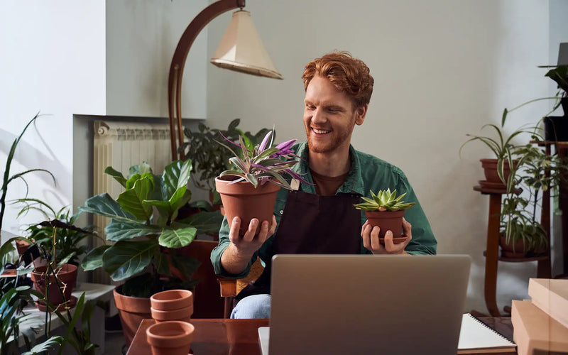8 redenen om kamerplanten online te kopen