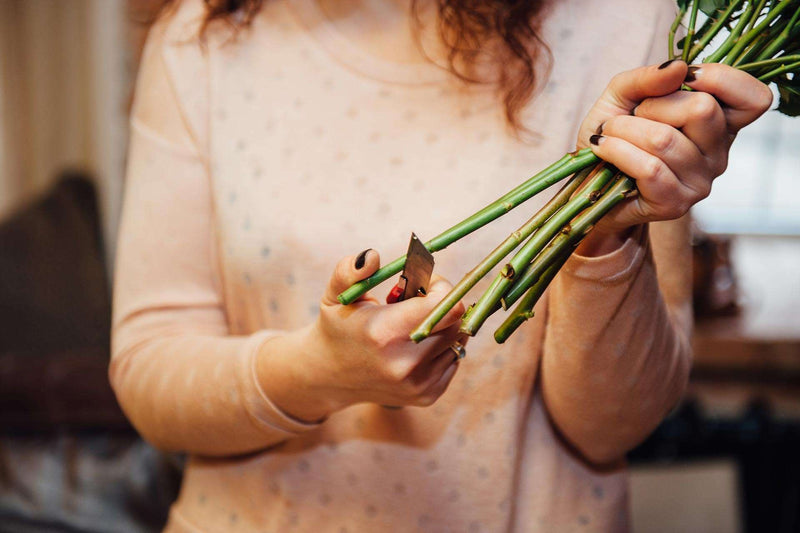Dit is waarom je bloemen schuin moet afsnijden