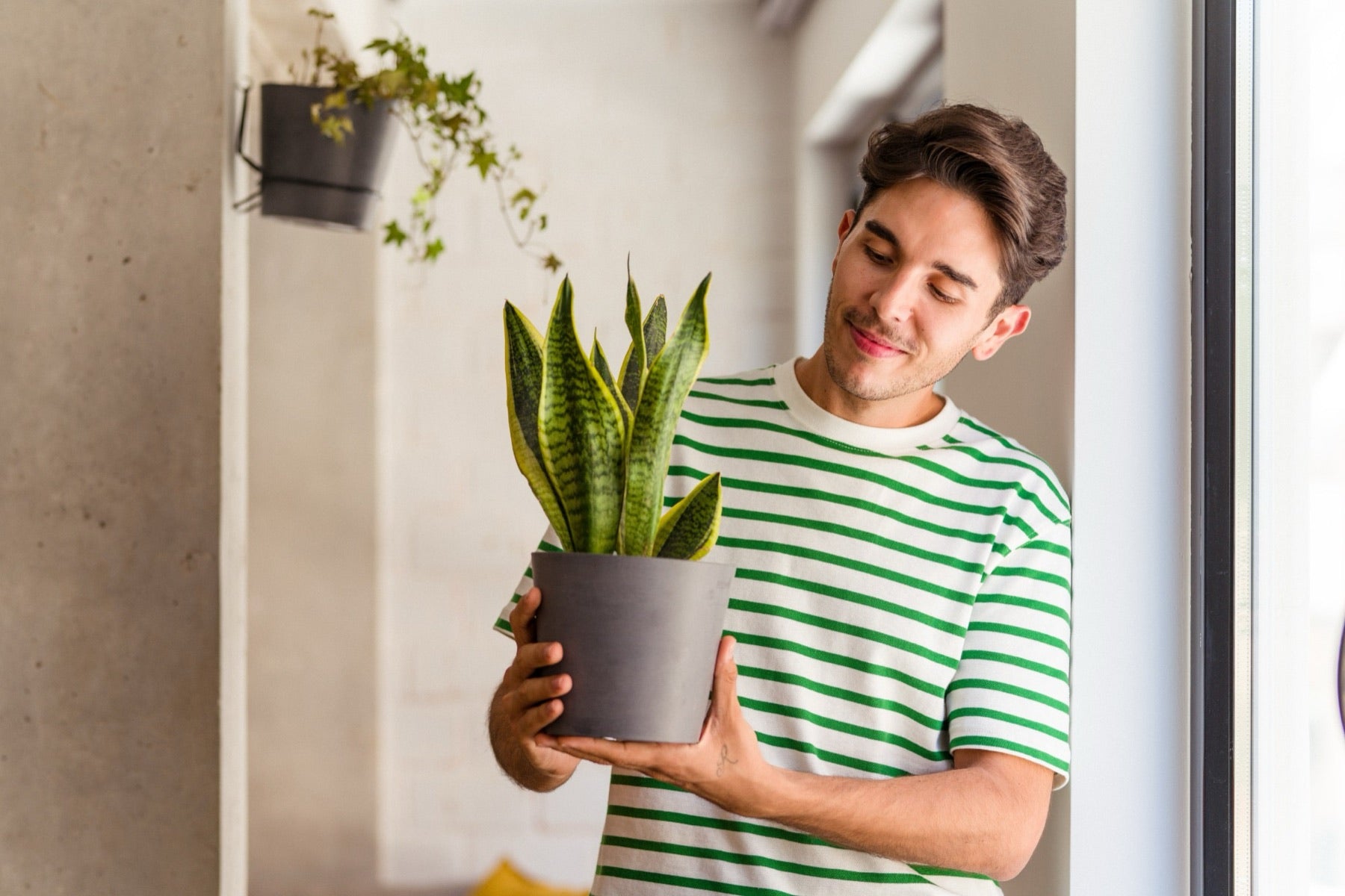 Een man kijkt glimlachend naar een plant in zijn handen