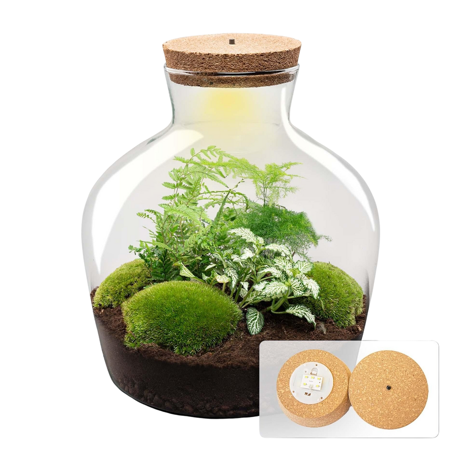 Groene Goedzak