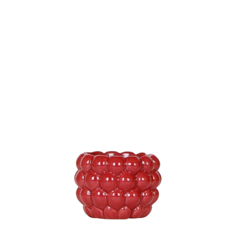 Kolibri Berry rood – Ø6 cm