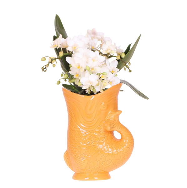 Strandganger Oranje