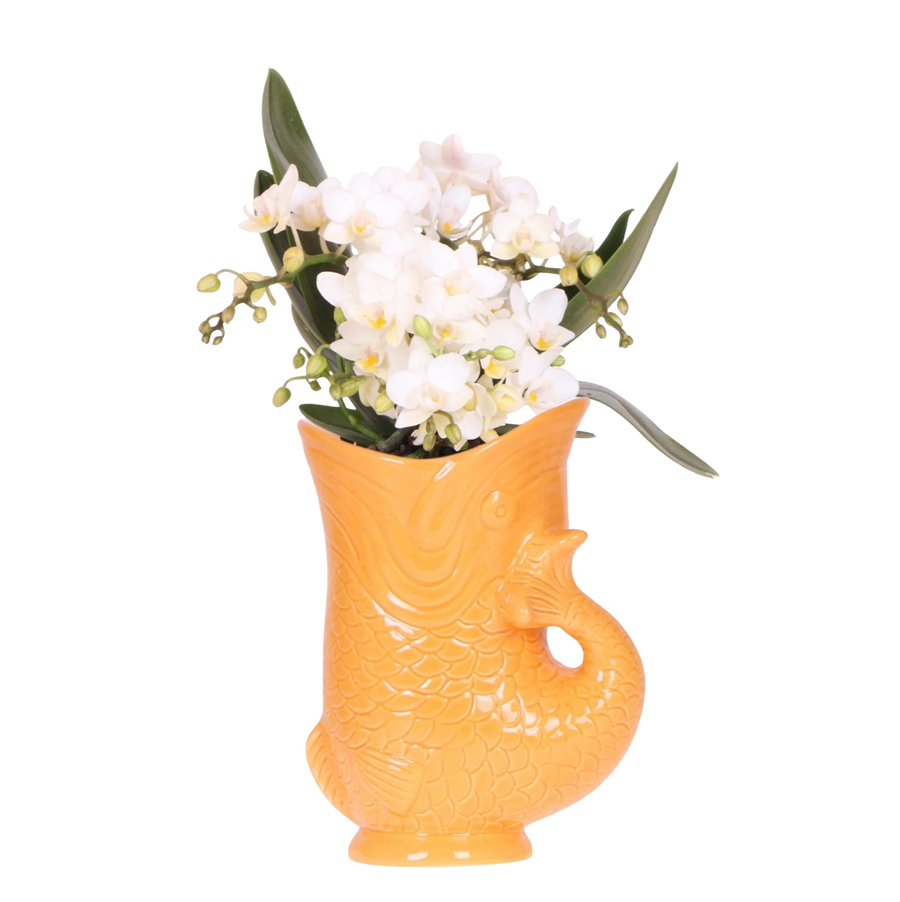 Strandganger Oranje