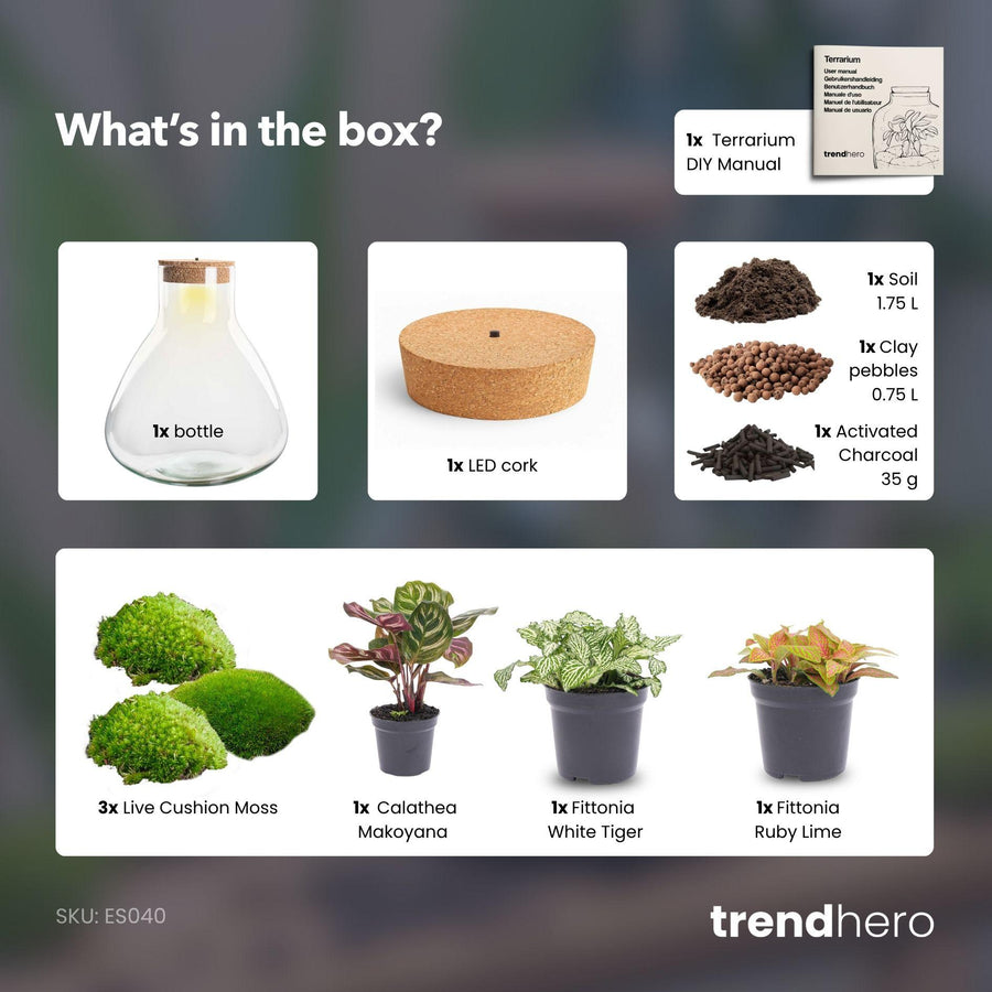 Rode Reus