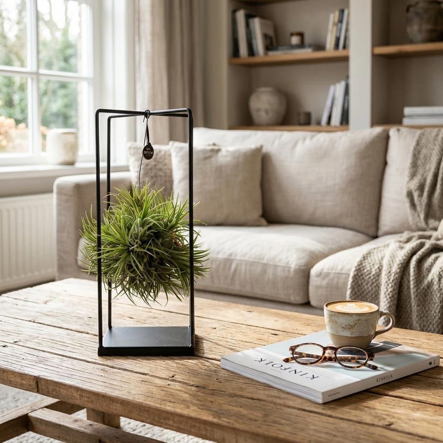 De Lichtvoetige