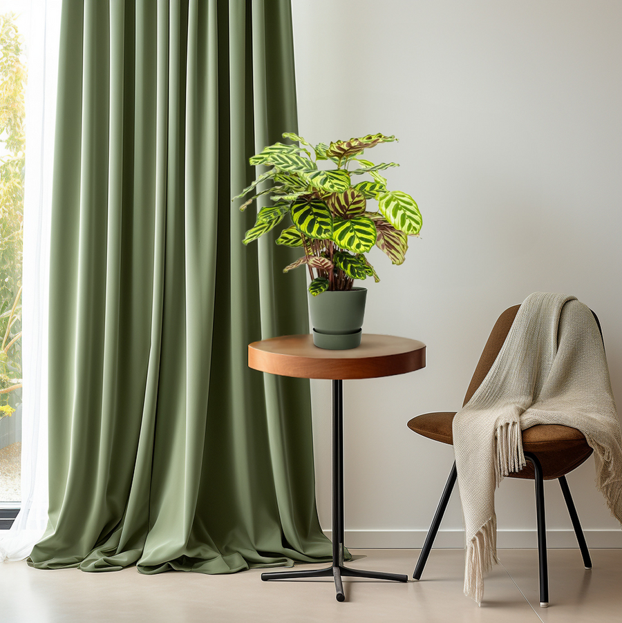 Patroonbreker
