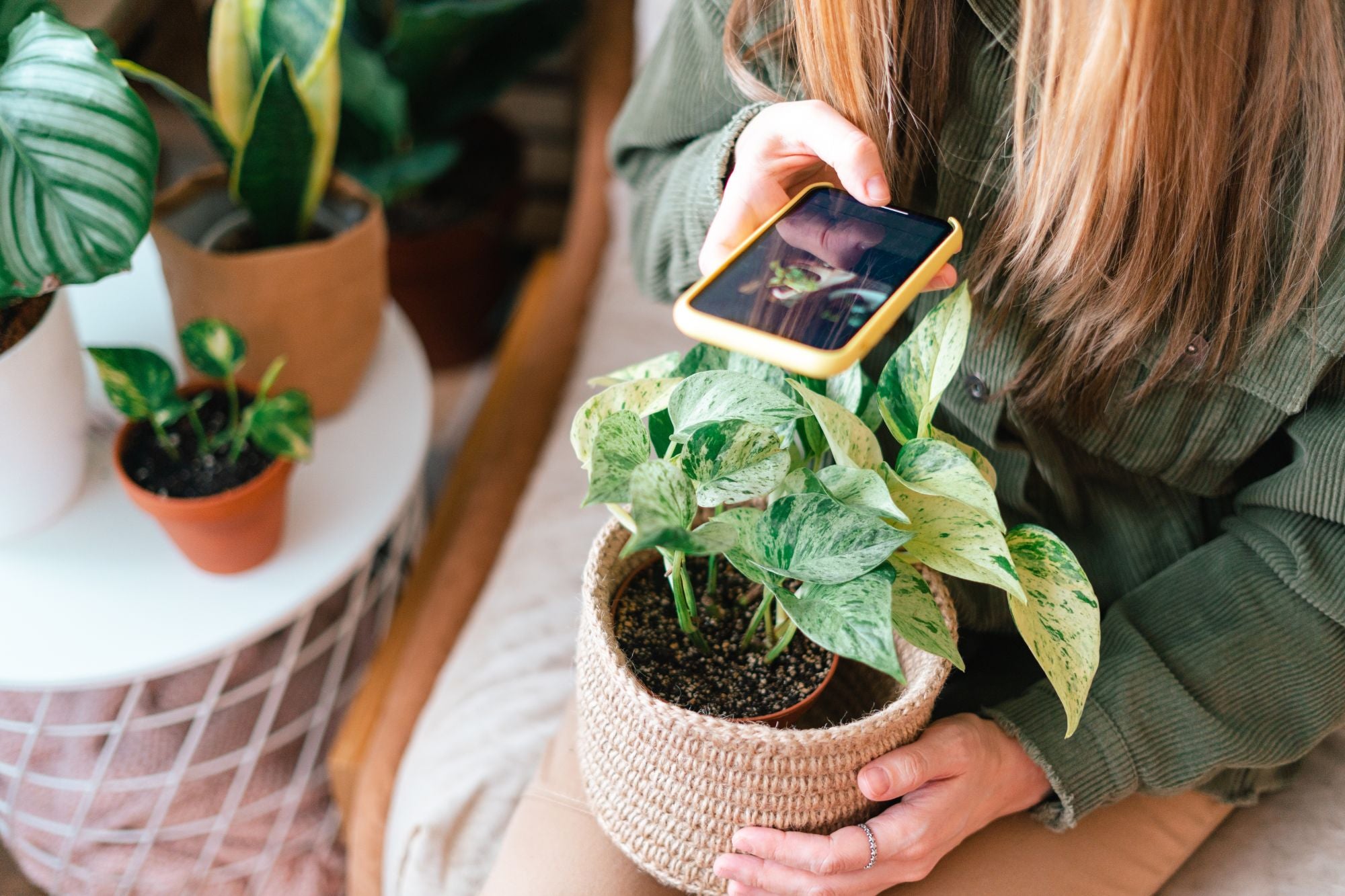 Een vrouw maakt een foto van een plant in een gevlochten mand