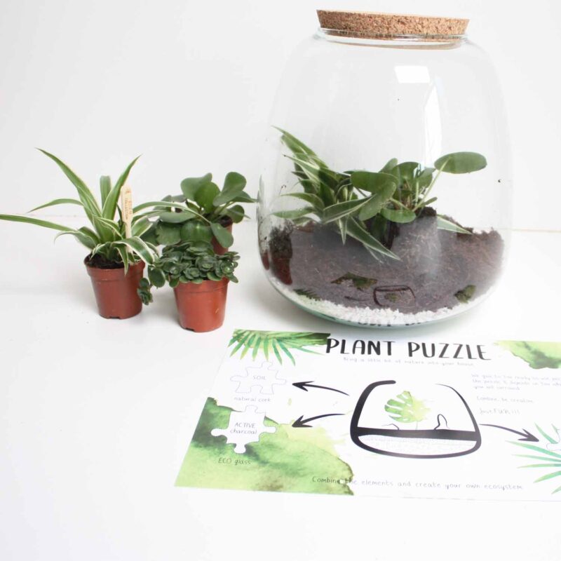 Plant Puzzel ® Discover the World Ecosysteem met verlichting