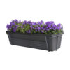 Campanula Addenda Lavender in ELHO ® Green Basics balkonbak (Living Black) met metalen balkonrek