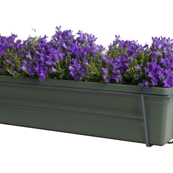 Campanula Addenda Lavender in ELHO ® Green Basics balkonbak (Bladgroen) met metalen balkonrek