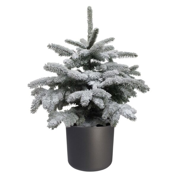 Picea sneeuw in ELHO b.for soft rond sierpot (antraciet)