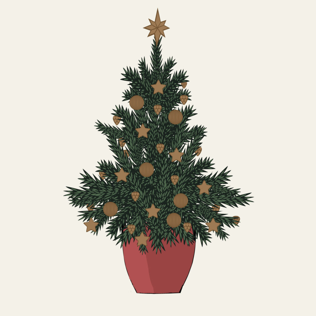 Verwijder de decoratie van je kerstboom en laat de boom wennen aan koelere temperaturen in bijvoorbeeld de gang.