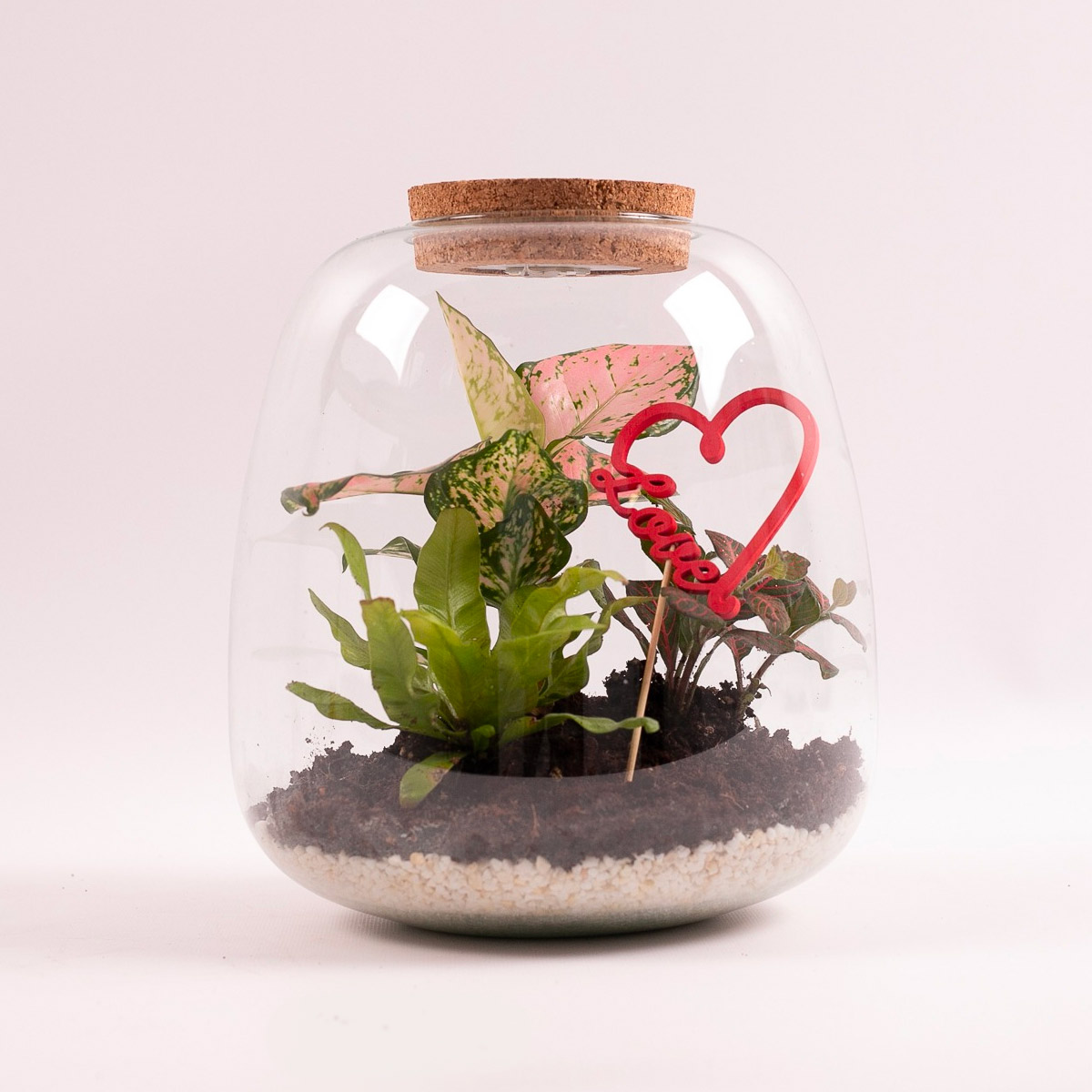 Planten terrarium Valentijnsdag met verlichting