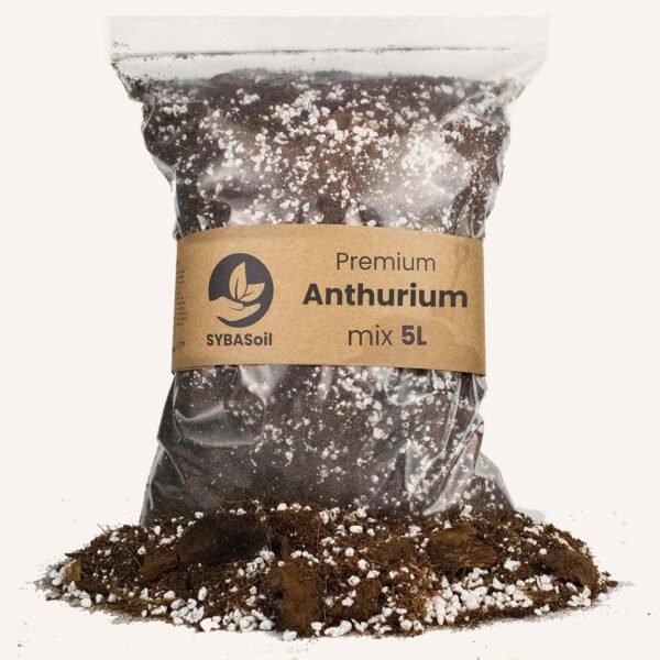 Anthurium mix - 5L
