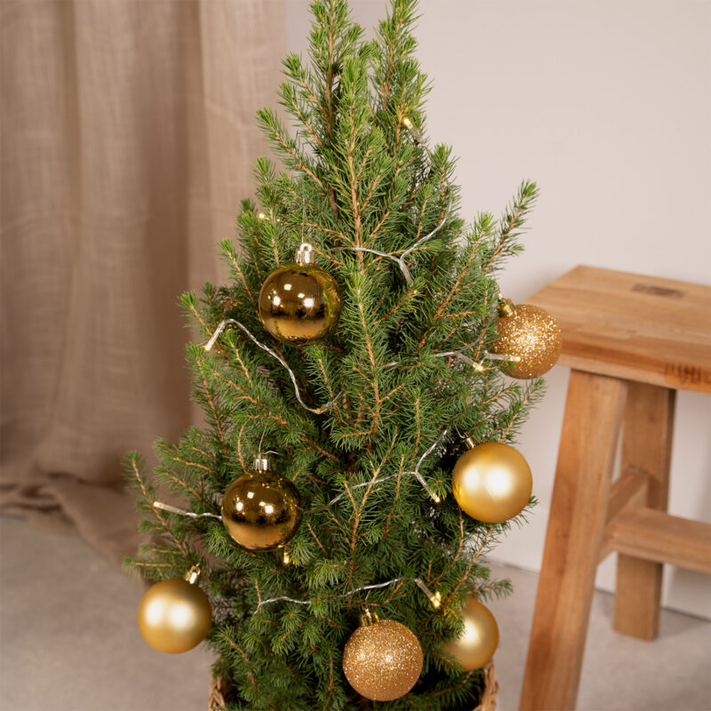 Kerstboom met lichtjes en ballen goud 80cm - Picea Glauca Conica