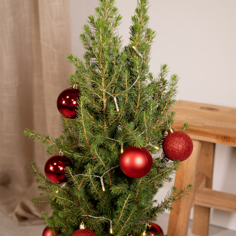 Kerstboom met lichtjes en ballen rood 80cm - Picea Glauca Conica