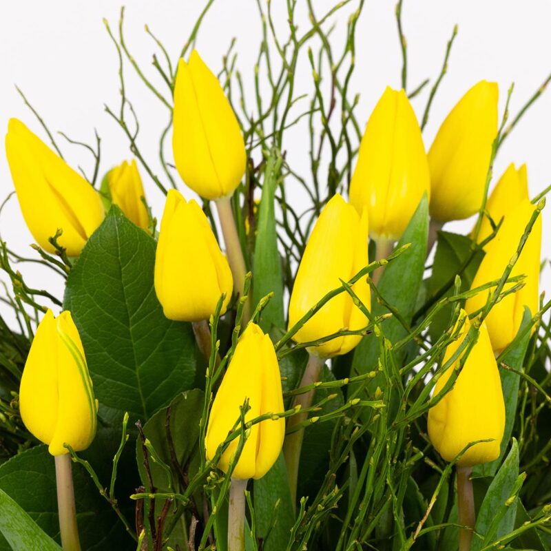 Tulpenboeket Radiant Yellow