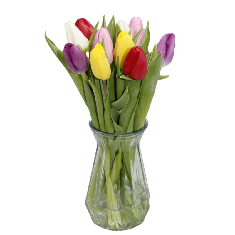 10 Brievenbus Tulpen Colorburst Harmony