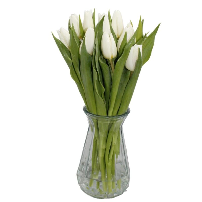 10 Brievenbus Tulpen Pure White