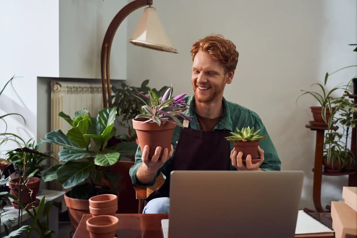 8 redenen om kamerplanten online te kopen