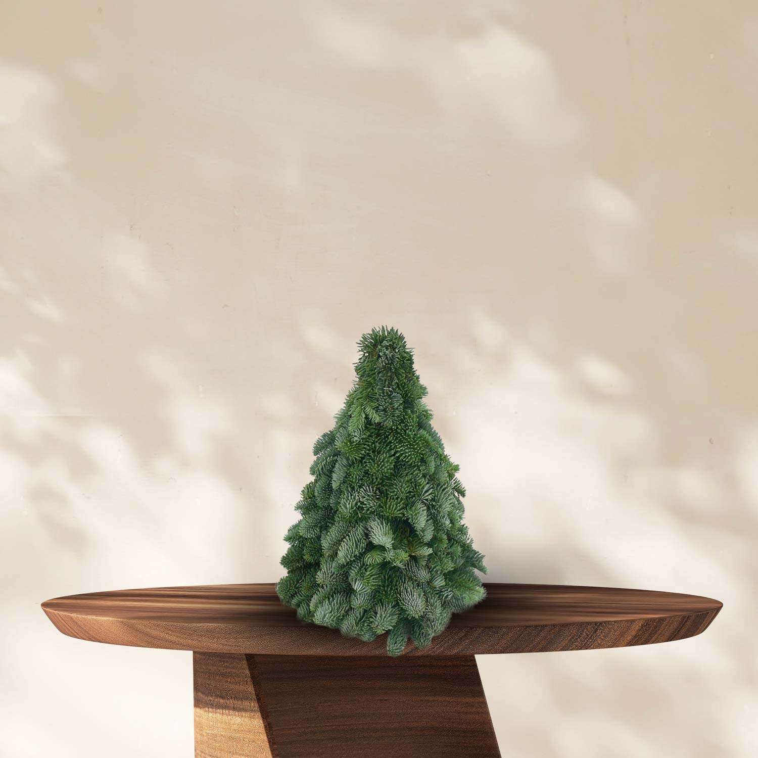 Kerstboom Nobilis op standaard - ↕40cm