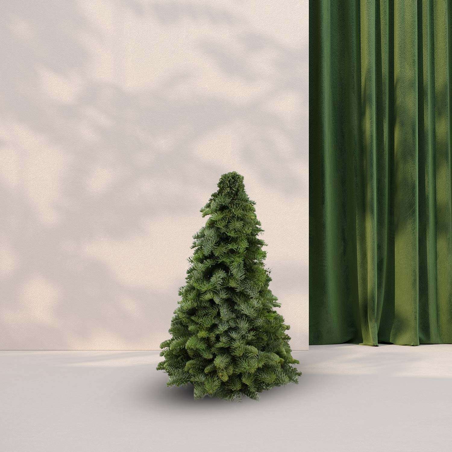 Kerstboom Nobilis op standaard - ↕50cm