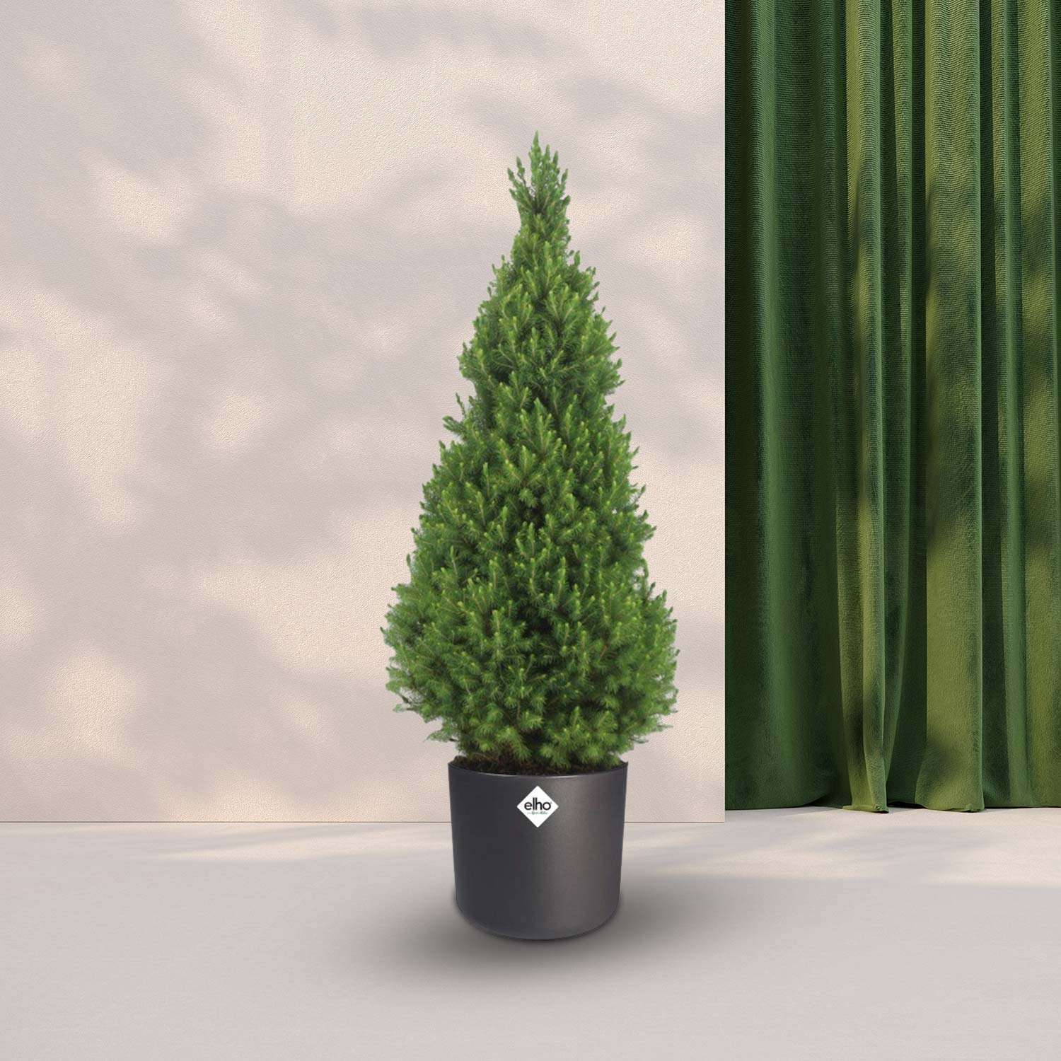 Kerstboom Picea Glauca Conica - Ø24cm ↕100cm in Elho B. for soft Antraciet