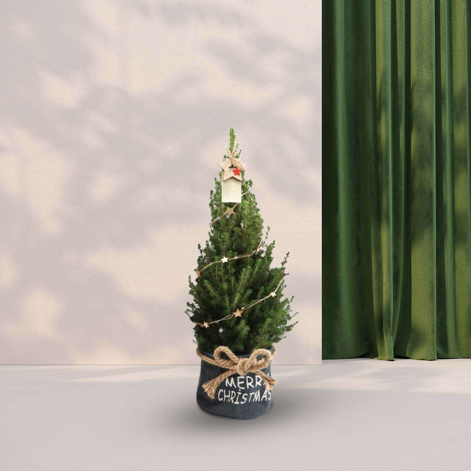 Kerstboom (Picea Glauca Conica) in zak blauw - Ster decoratie met verlichting - 70cm