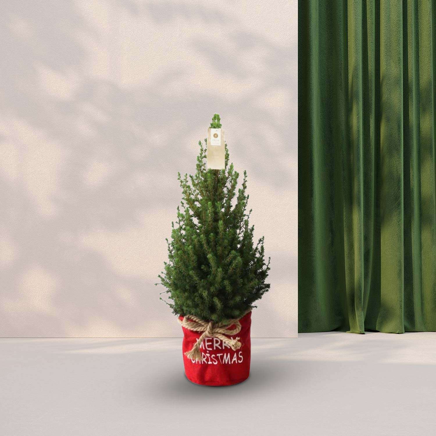 Kerstboom (Picea Glauca Conica) in zak rood - 70cm