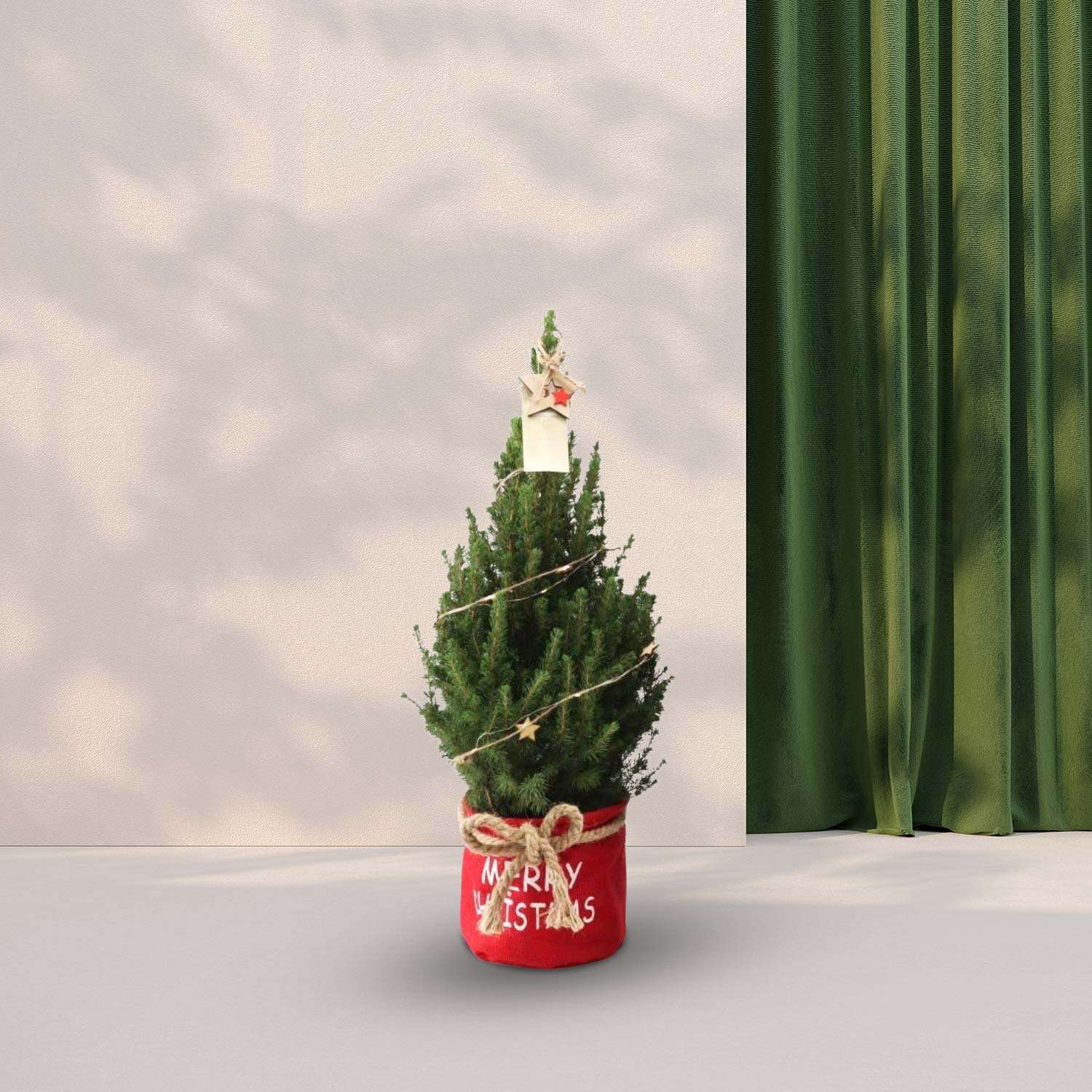 Kerstboom (Picea Glauca Conica) in zak rood - Ster decoratie met verlichting - 70cm