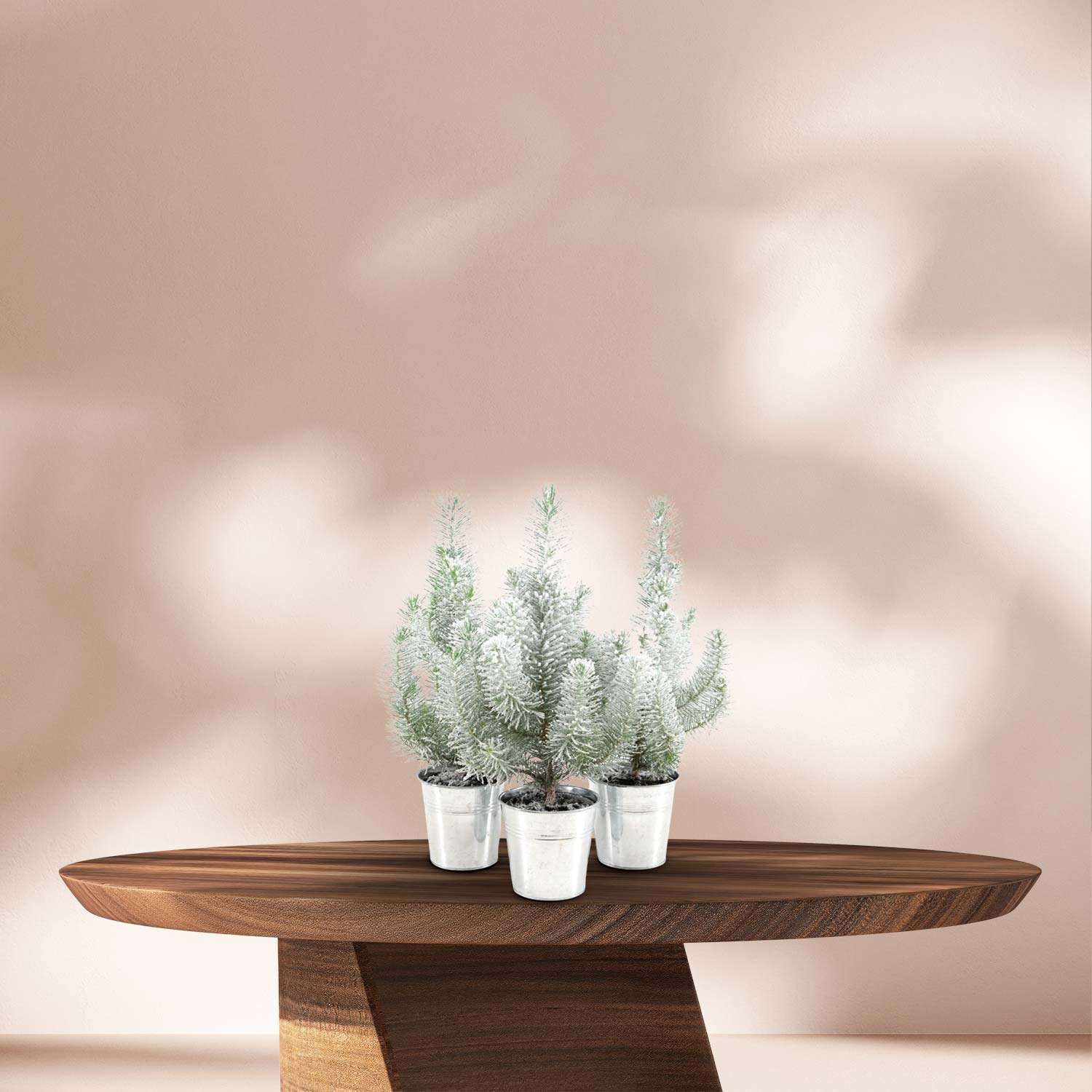 3x Kerstboom (Pinus Pinea 'Silver Crest') in Sierpotjes Zink - Ø12cm - ↕35cm