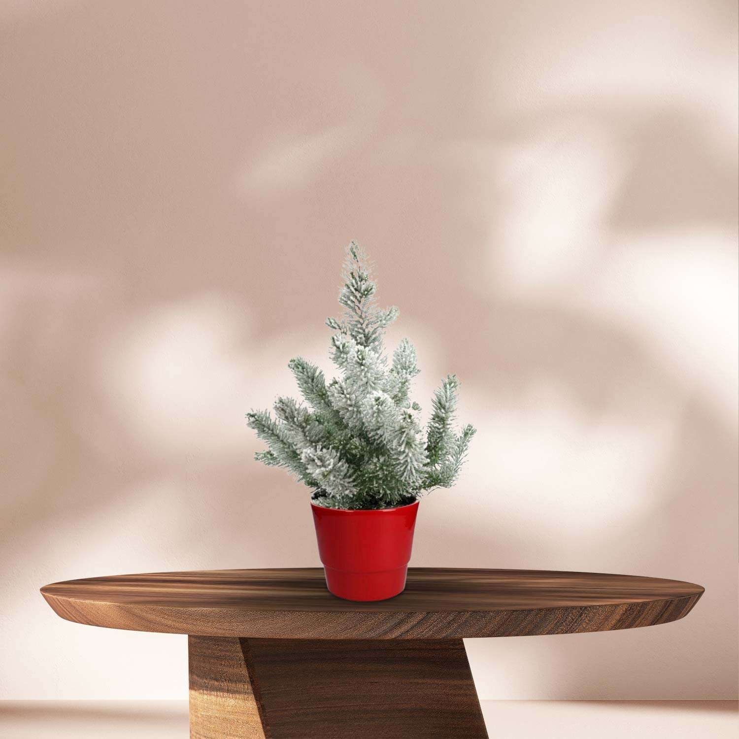 Kerstboom (Pinus Pinea 'Silver Crest') met Sneeuw in Sierpot Rood - Ø17cm - ↕50cm