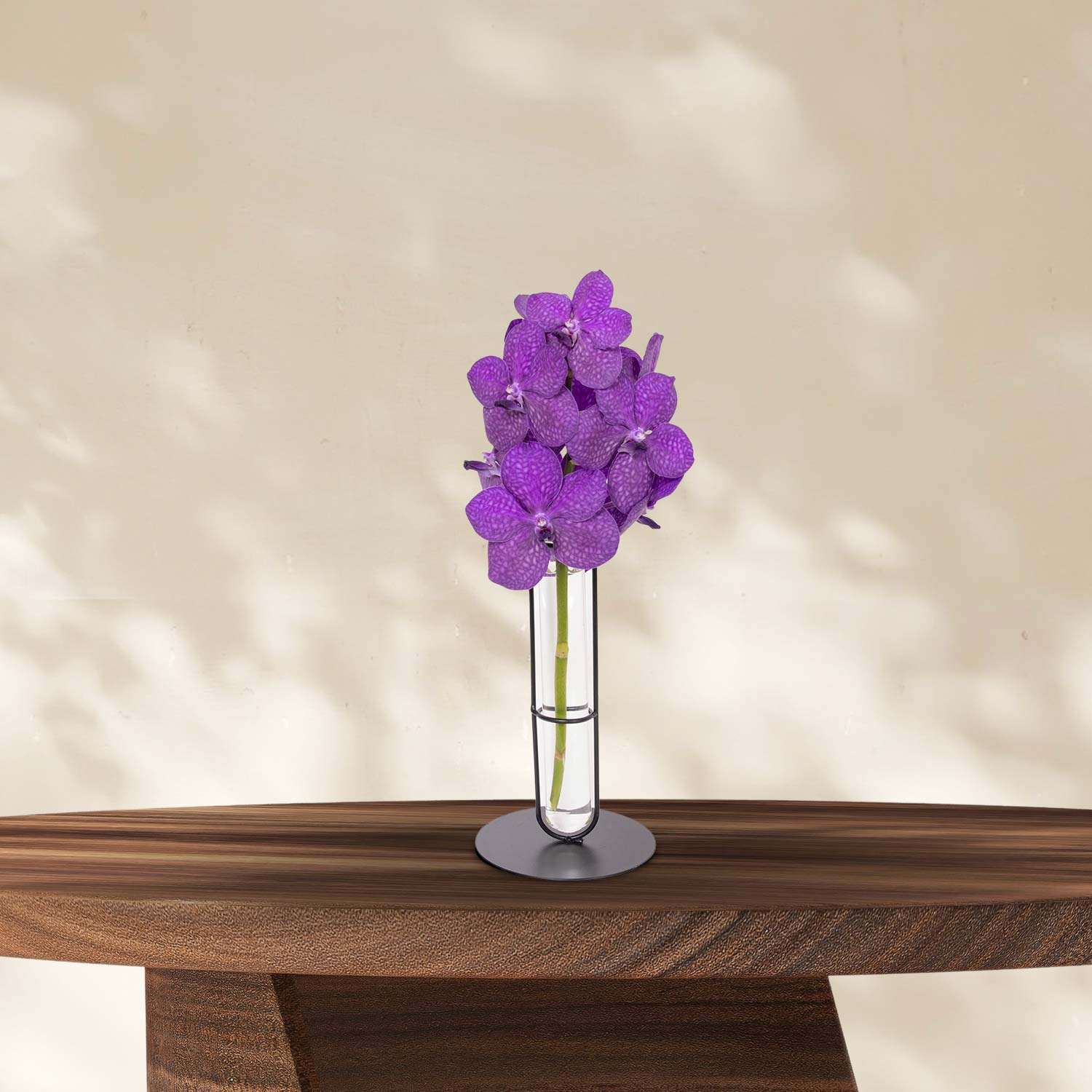 Vanda Vazenda Orchidee in glazen flesje op standaard - Ø10cm - ↕25cm