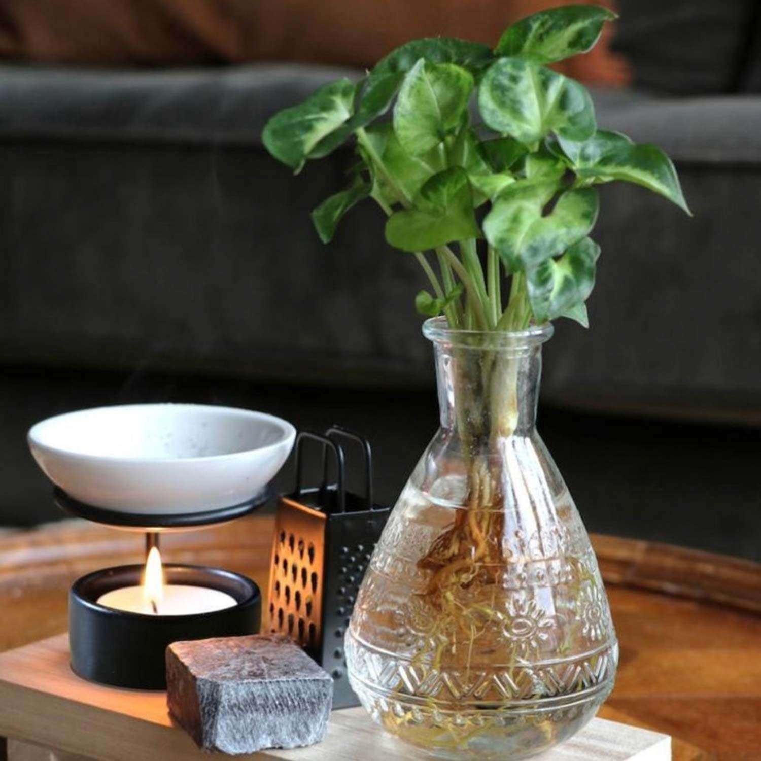 Wellness Gift Set met Plantje op water - ↕25cm - Afbeelding 3