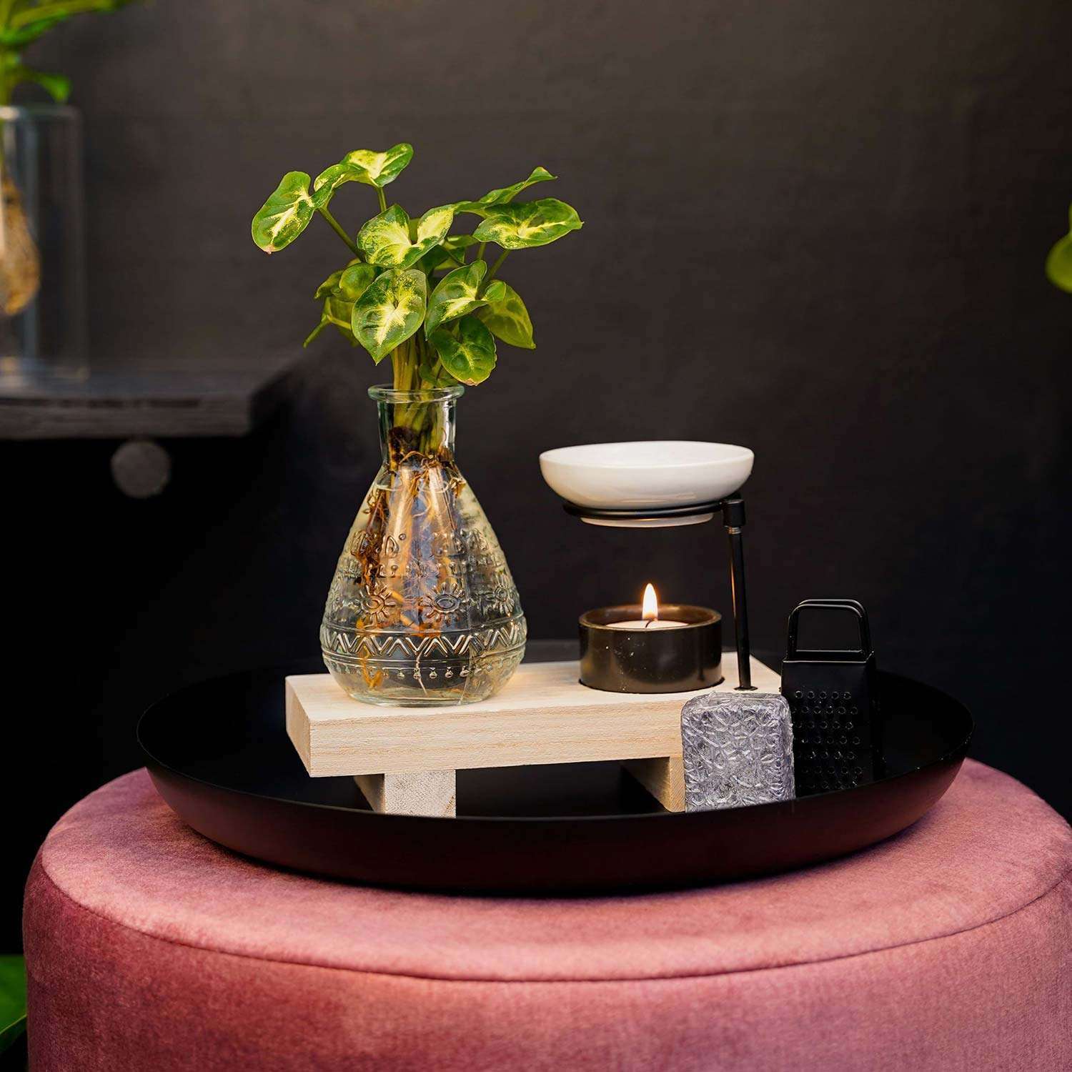 Wellness Gift Set met Plantje op water - ↕25cm - Afbeelding 2