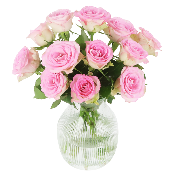 Sweet Roses - roze rozen in brievenbuspakket